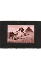 CARTE POSTALE (Format 138X88) D' EGYPTE Affranchie Du CAIRE Pour ALGER (2 PHOTOS) - Storia Postale