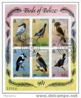 BELIZE 1980  «Birds Of Belize» Oiseaux Vôgel SG MS566 Scott 500 Mi Nr 487-92 Block Used - Belice (1973-...)