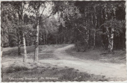 Oosterbeek -Bosgezicht 'De Bilderberg'    (1962)   - Holland/Nederland  (2 Scans) - Oosterbeek