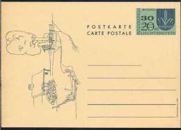 LIECHTENSTEIN - RUGGELL /  1973 ENTIER POSTAL ILLUSTRE SURCHARGE / 3 IMAGES (ref 4777) - Ganzsachen