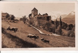 Schloss VADUZ (Liechtenstein) KUH - VACHE - Photo FOTO A.BUCK, Schaan-Timbre-Briefstempe L- - Unclassified