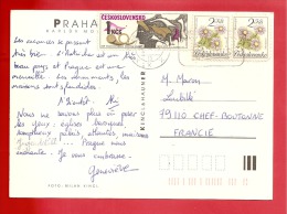 N°Y&T 1961+2899x2  PRAGUE Vers FRANCE 1991  (2scans) - Brieven En Documenten