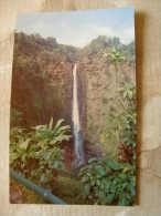 USA   HAWAII  -Alaka Falls  -Island Of Hawaii    D114206 - Other & Unclassified