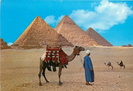CPSM Egypte-Giza   L1555 - Gizeh