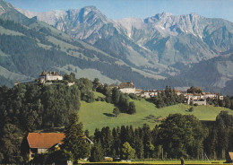 SUISSE,SWITZERLAND,SWISS, HELVETIA,SCHWEIZ,SVIZZERA , FRIBOURG,GRUYERES,prés Bulle,chateau,prairie - Bulle