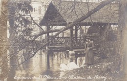 Environs De DOURDAN - BONNELLES -  Château De Bissy ( Carte Photo ) - Sonstige & Ohne Zuordnung