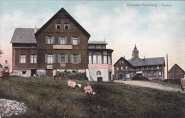 Feldberg I.Taunus - Taunus