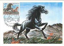 CM Monaco - Protection Des Animaux - Poneys Du Pays Basque - 04/05/1970 - Maximum Cards