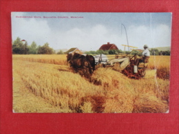 Harvesting Oats Gallatin County Montana Not Mailed  Creaase Right Side  Ref 1198 - Sonstige & Ohne Zuordnung