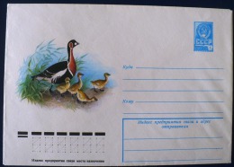 RUSSIE URSS, CANARDS, Entier Postal Illustré Edité En 1978. Neuf - Canards