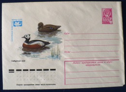 RUSSIE URSS, CANARDS, Entier Postal Illustré Edité En 1979. Neuf - Canards