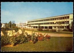 Carte Postale 91 VIRY CHATILLON Groupe Scolaire - Viry-Châtillon