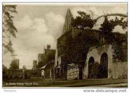 HASTINGS TBattle Abbey - South Side Y - Real Photo   New Vintage Card - Hastings