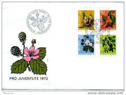 SUISSE FDC  Pro Juventute 1973 - FDC