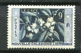 125 NOUVELLE CALEDONIE 1955 - Cafe (Yvert 286) Neuf ** (MNH) Sans Trace De Charniere - Neufs