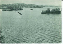 TRAKAI  Galves Ezeras Le Lac Of Galve - Litauen