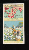 Picking Cotton / Production Cueillette Récolte Du Coton / Champ Agriculture Textile Plante / IM 133 - Player's