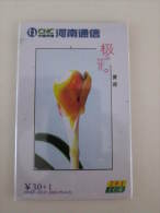 Local Chip Phonecard,orchid, Used - Chine