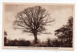 Cpa 50 - Saint-Georges-de-Rouelley - Chêne De La Bourginière - Trees