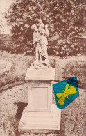 BLICQUY (par Chapelle-à-WATTINE) - Pensionnat De Saint Jean-François - Jardin Et Statue De Saint-Christophe - Leuze-en-Hainaut