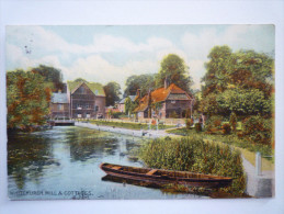 WHITCHURCH  MILL  And  COTTAGES  (Carte Couleur)   1904 - Shropshire