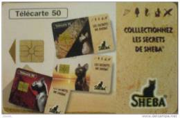 Télécarte 50 Unités - F 635 B Sheba Neuve Sous Blister - 3 L - 1996