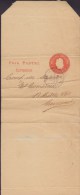 Argentina Postal Stationery Ganzsache Entero Impresos Wrapper Streifband Bande Journal 1 Cent. BUENOS AIRES 1902 2 Scans - Entiers Postaux