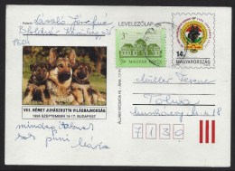 HUNGARY - 1995.Postal Stationery - 8th German Shepherd World Championship,Budapest  Cat.No.: 1492.USED!!! - Entiers Postaux