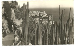 Monaco, Le Rocher Vu Du Jardin Exotique, Bords Dentelés,n°128, Voyagée En 1956, Scan Verso (timbres Pont De Cahors) - Giardino Esotico