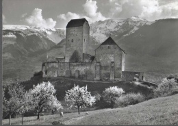 SCHLOSS SARGANS GEGEN PIZOL GEBIET FG V SEE 2 SCANS CASTELLO DI SARGANS - Sargans