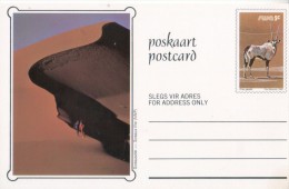 SWA Postcard 1980 Landschaft Oryx - Ongebruikt
