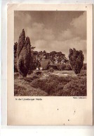 Allemagne - In Der Lüne Burger Heide - Vue De La Maison  Prise Des Prés - Foto Lehmann N° 607 - Lüneburger Heide