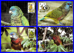 Série De 4 Cartes Maxima - Faune Protégée - Amazone De Sainte-Lucie (Amazona Versicolor) - Sainte-Lucie 1987 - St.Lucie (1979-...)