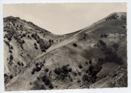 ST ETIENNE DE BAIGORRY --- Col D´ Ispéguy ,cpsm 10 X 15  N° IB 5045  éd Yvon - Saint Etienne De Baigorry