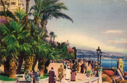 CARTE POSTALE (Non  Circulée) MONACO Monte-Carlo Les Terrasse Du Casino  287  µ - Les Terrasses