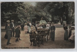 Le Havre - Le Square Saont Roch - CPA - Saint-Roch (Plein)