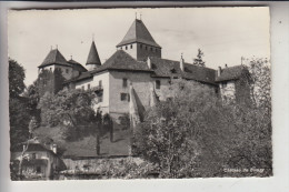 CH 1807 BLONAY VD, Chateau Blonay - Blonay - Saint-Légier