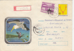 PELICANS, BUSS STAMP, REGISTERED COVER STATIONERY, ENTIER POSTAL, 1972, ROMANIA - Pélicans