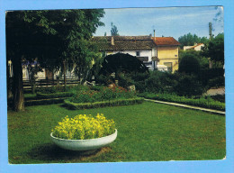 CPM- L'Isle Sur La Sorgue- Jardin De La Caisse D'Epargne- Et Moulin à Eau- 84 Vaucluse - L'Isle Sur Sorgue