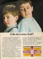 # BISCOTTI AL PLASMON 1950s Advert Pubblicità Publicitè Reklame Baby Food Biscuits Biscotti - Afiches