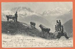 EGG817, Mont-Blanc, Aiguille Verte, Cachet Finhaut, Vaches Animée, Pli, 2751, Circulée 1905 - Finhaut