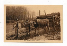 27262  -   Sore    Landes  Attelage De Boeufs  Transport De Bois - Sore