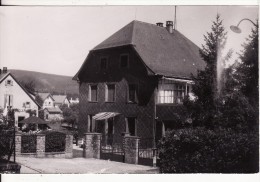 WANGENBOURG (Bas-Rhin) Villa Des Terrasses-Photo Carte Artisanale Muller-Collection FRITZ Tabac -Tampon-Cachet Daguin - - Sonstige & Ohne Zuordnung