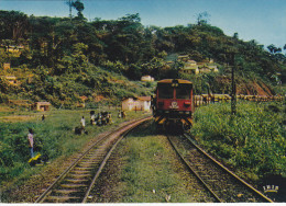 Afrique,CONGO,CFCO,transport  De Grumes,prés équateur,gabon,cameroun,N ´SITOU,train,wagons  De Grumes,troncs D´arbres,r - Andere & Zonder Classificatie