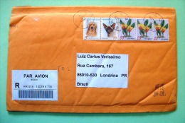 Taiwan 1996 Registered Cover To Brazil - Dog Cat Flowers Orchids - Briefe U. Dokumente