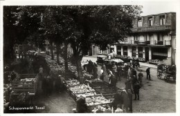 PAYS BAS - SCHAPENMARKT   - TEXEL - ECHTE FOTO - Texel