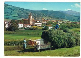 AINHOA - Village Type Du Pays Basque - Ainhoa