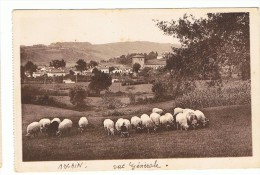 ASCAIN -Vue Générale (Côté Sud) - Ascain