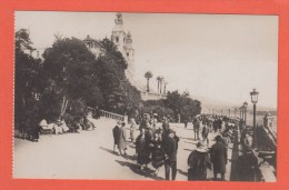 MONTE-CARLO --> Les Terrasses Et Le Casino - Casinò