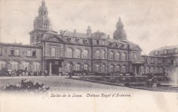 Houyet. - Vallée De La Lesse.  -   Château Royal D´Ardenne.;  Dinant 1907 - Houyet